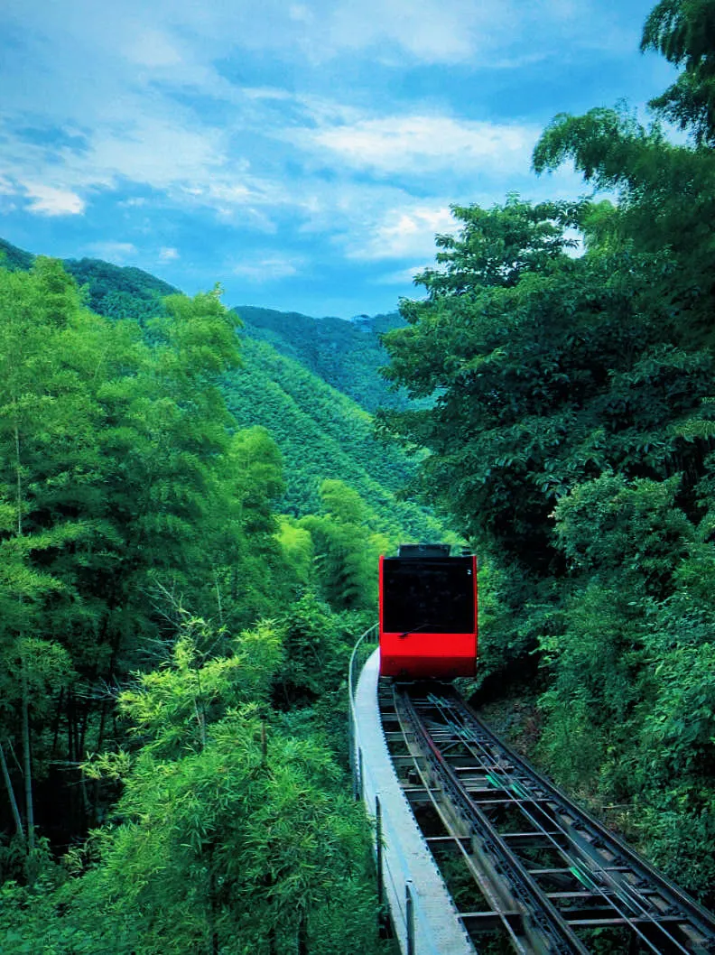 天目湖南山竹海太好玩了！下次还来！！