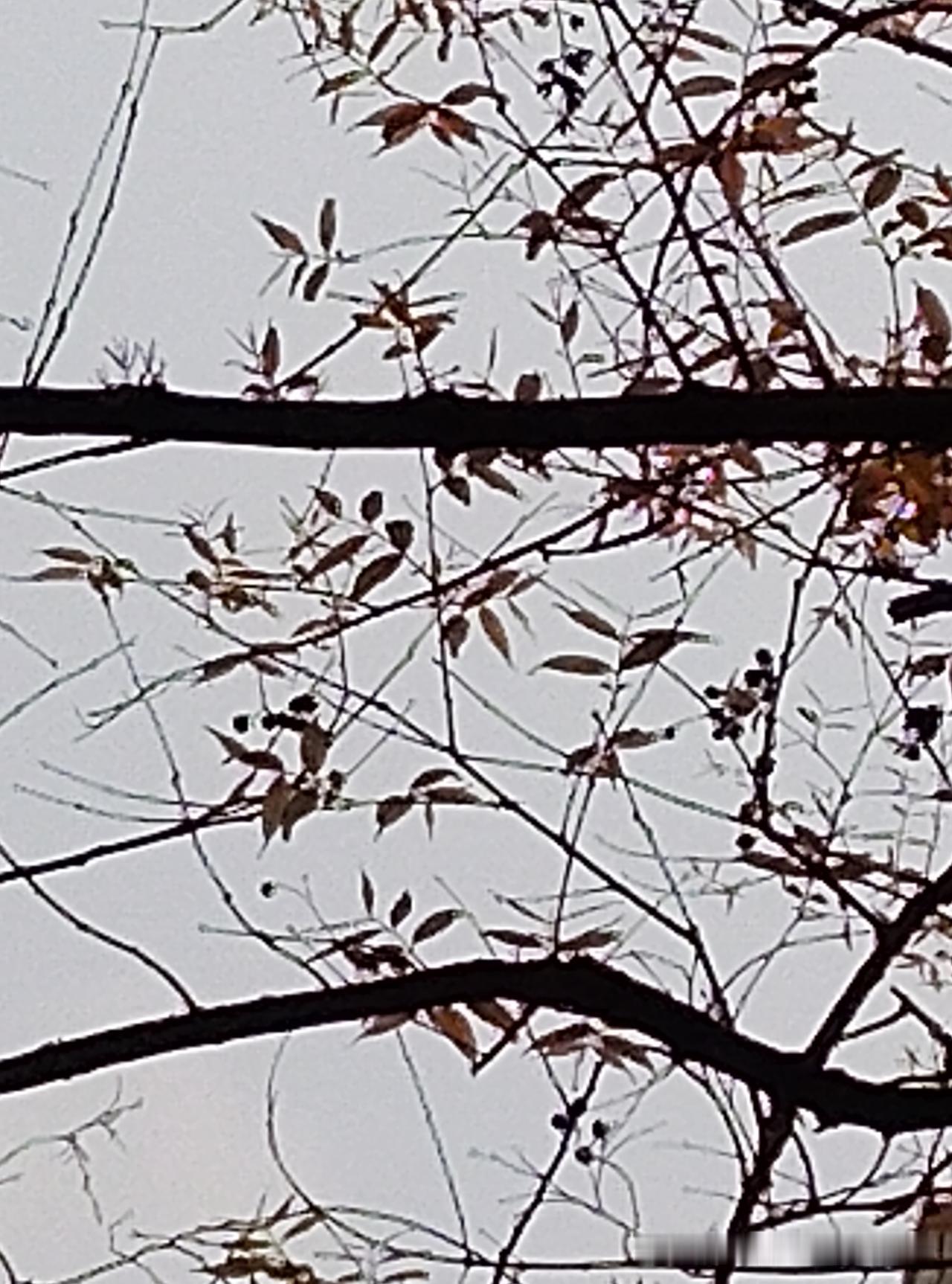 难怪有的人练了一辈字也练不好，而有的人却没练多久就会写得一手很漂亮的字。

我有