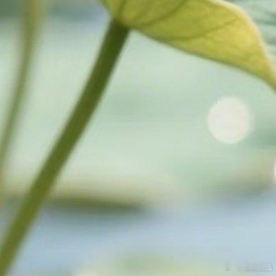 熊猫守护者 🐼熊猫守护者 🐼森林驿站 一个人的宽容，来自一颗善待他人的心。一