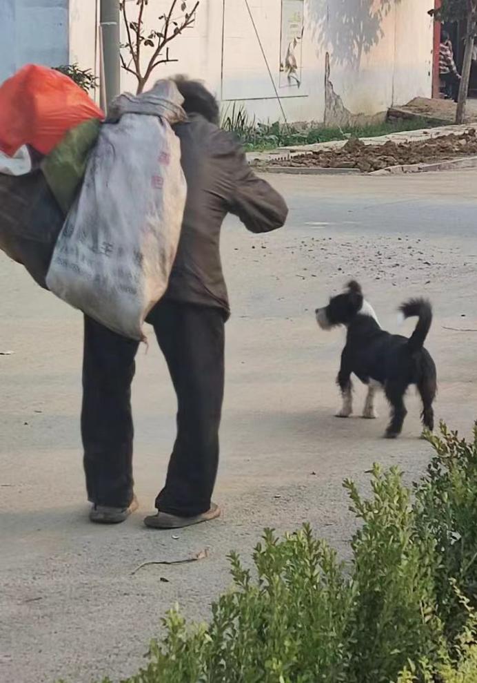 “太心酸了！”山东淄博，6名男子在大排档喝酒吃烧烤，正在酒兴上，1名拾荒老人颤抖