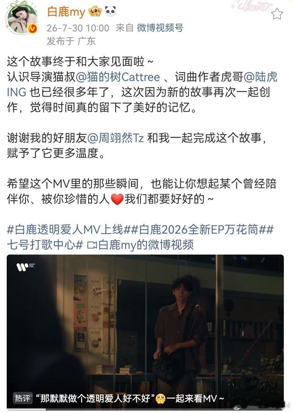 白鹿回复猫的树期待 
