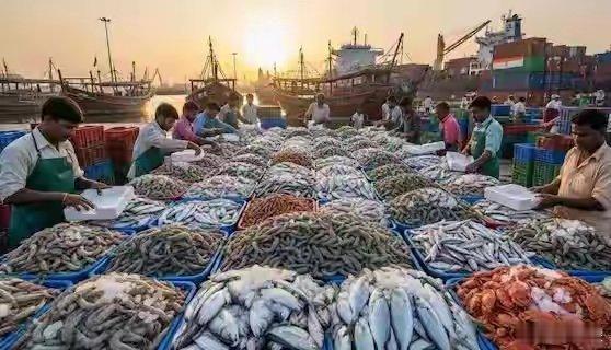 低价诱惑难抵安全顾虑！抗生素超标、恒河水质争议、冷链短板都是硬伤。消费者要的从不