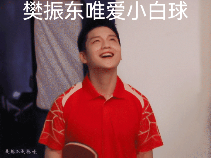 樊振东的成绩、汗水和荣耀，现在不说，还等什么时候说，等他退休后整理资料编历史书再