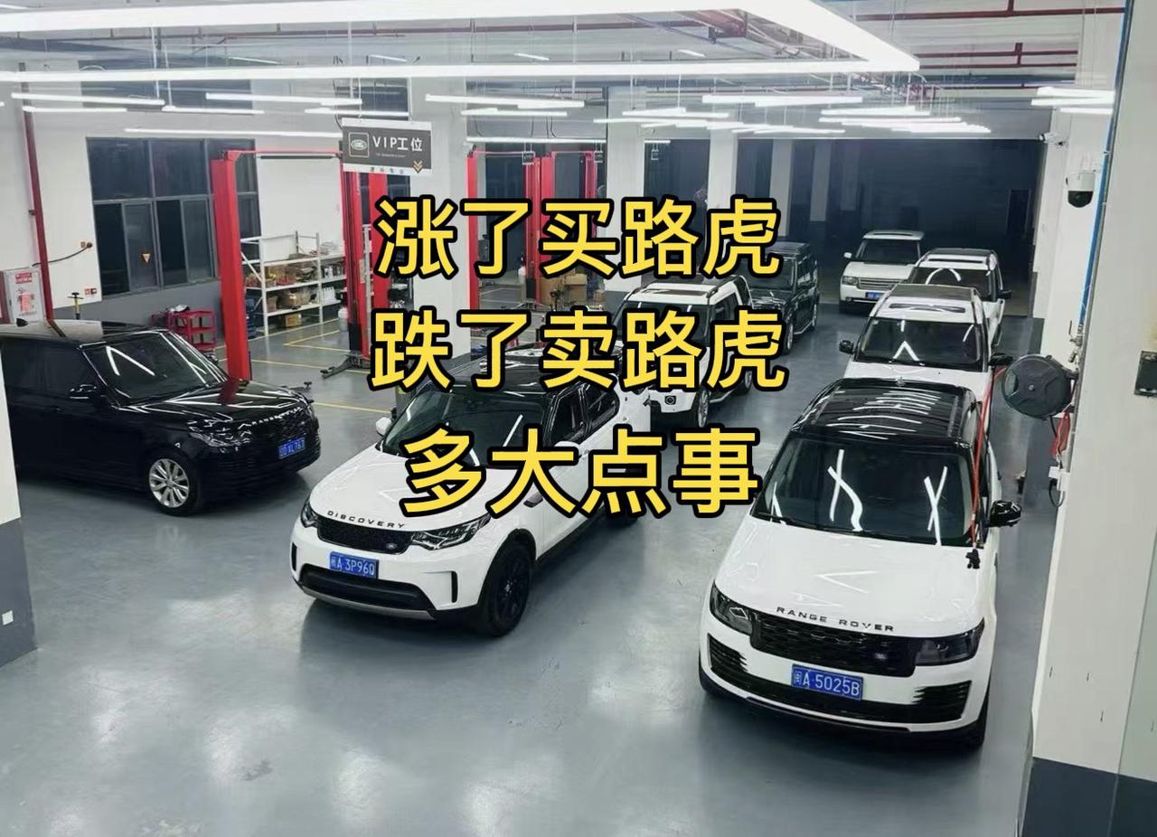 涨了买路虎，跌了卖路虎行业大揭秘 创业路上的我们