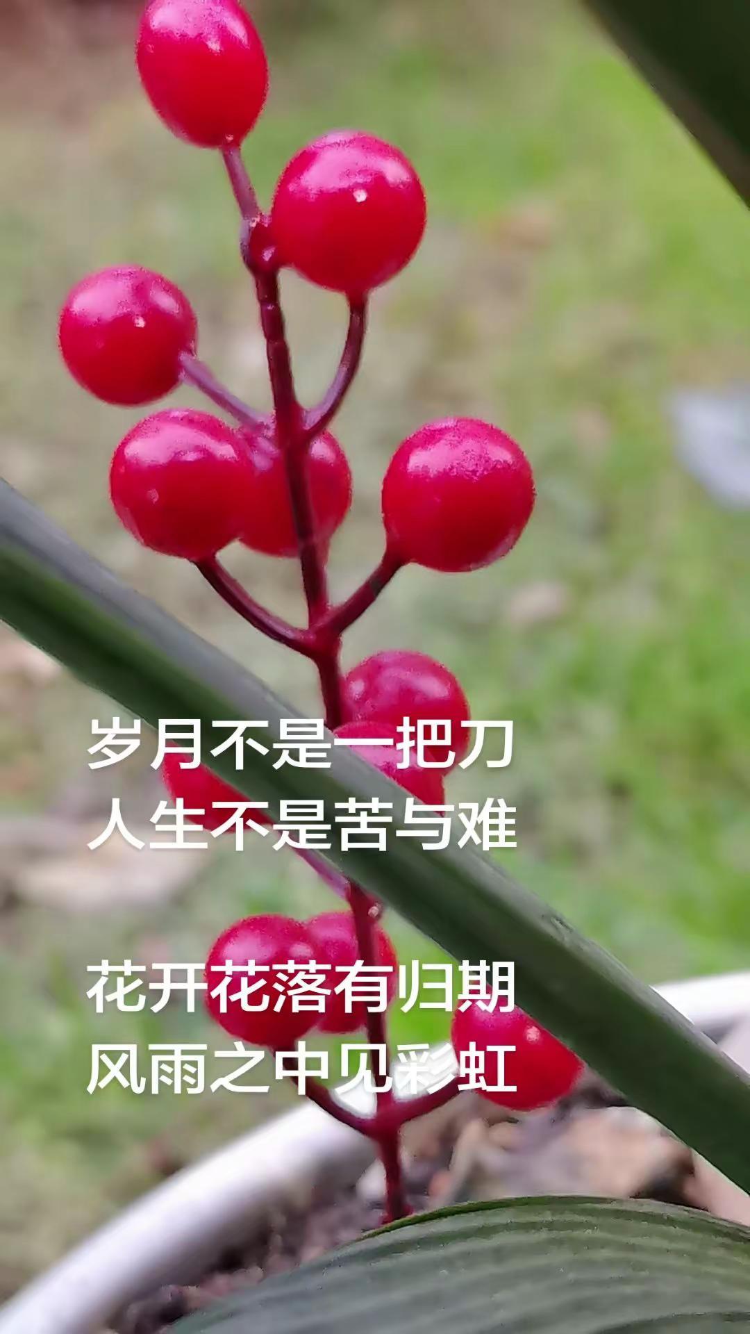 昆山九方城 有约