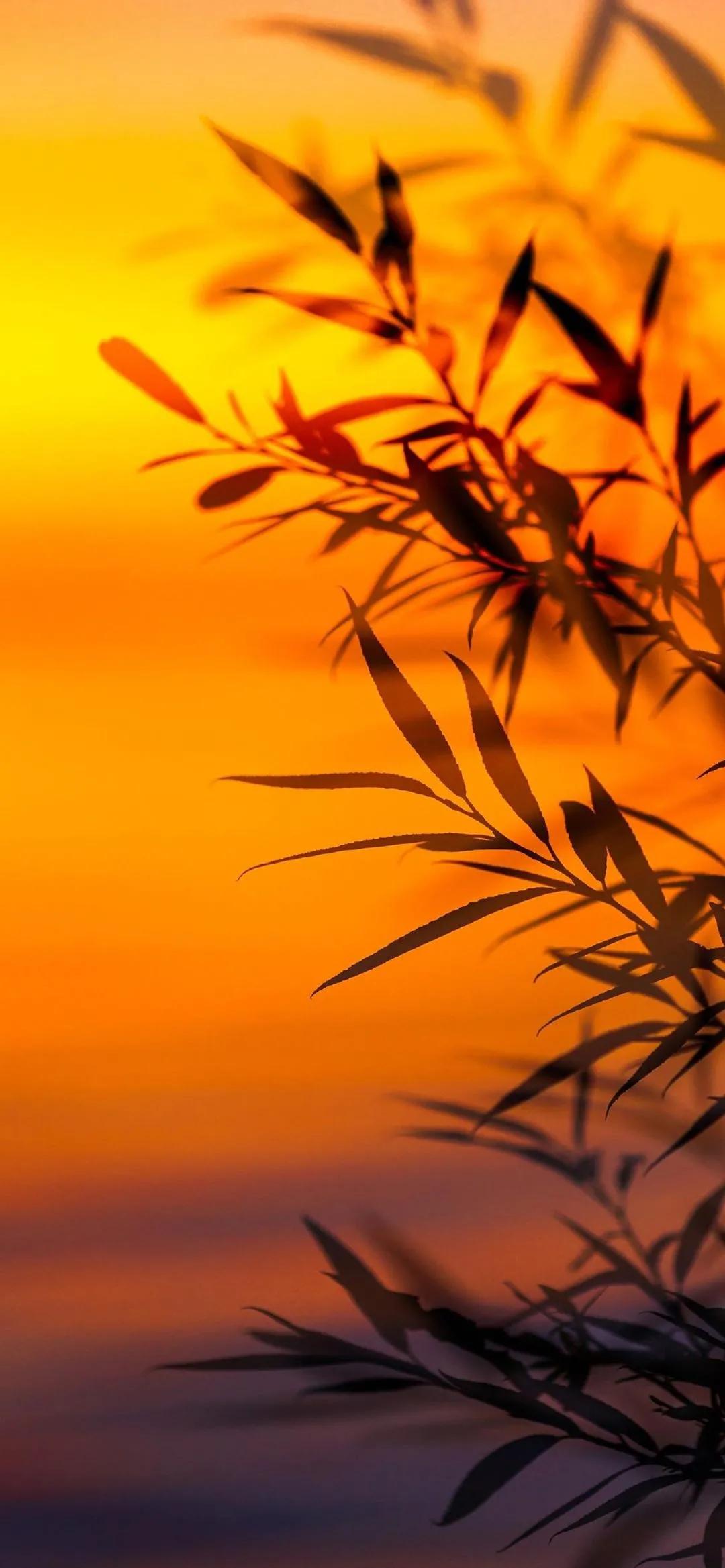 脚步放慢，你是活一辈子，不是活一天，慢慢来，体会工作和生活的乐趣，这种乐趣在浮躁