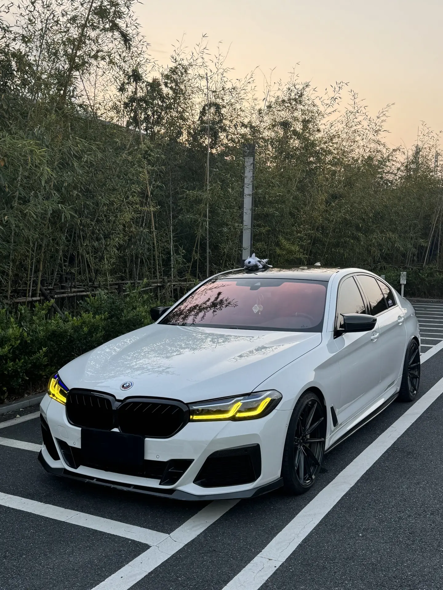 持续更新