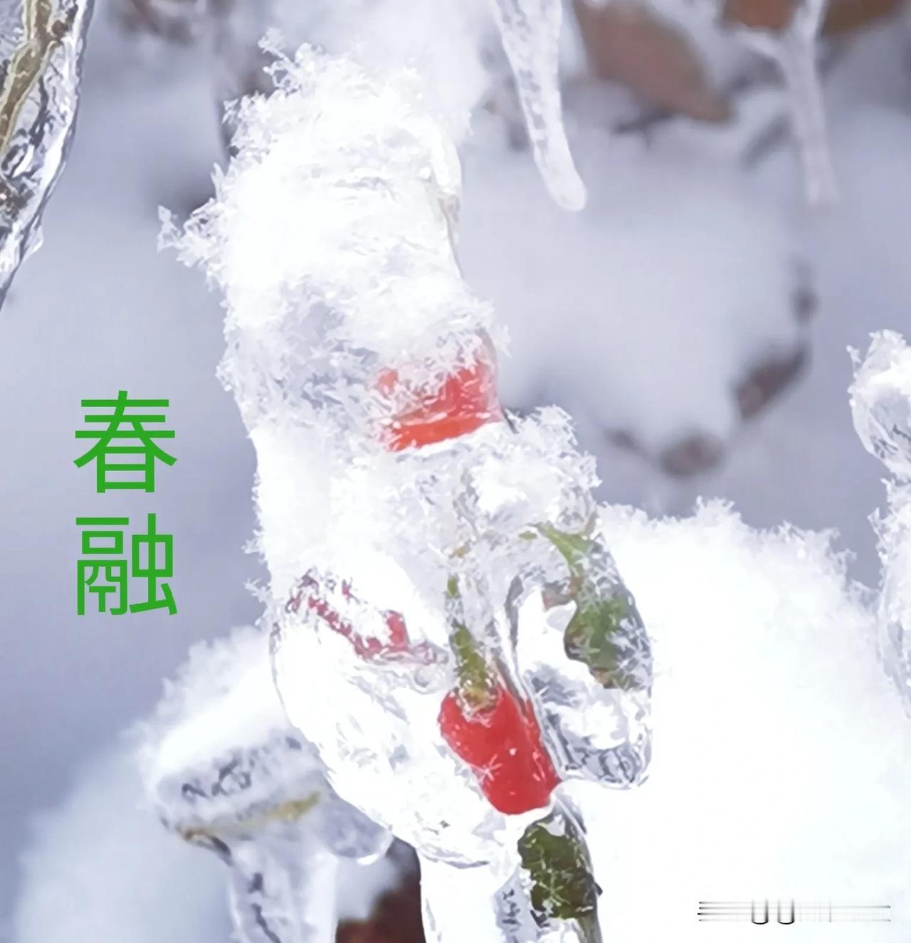 《春融》
作者：天水
冰雪融化
滴水如泪
告别冬天
春光明媚