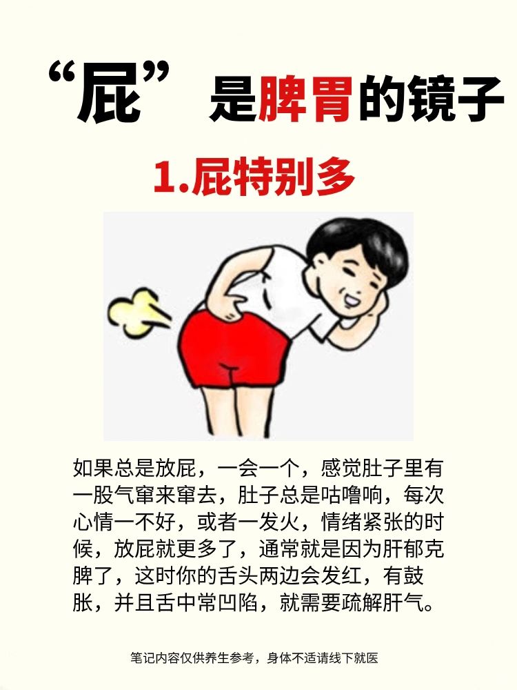 放屁多，屁臭，反映出脾胃虚弱