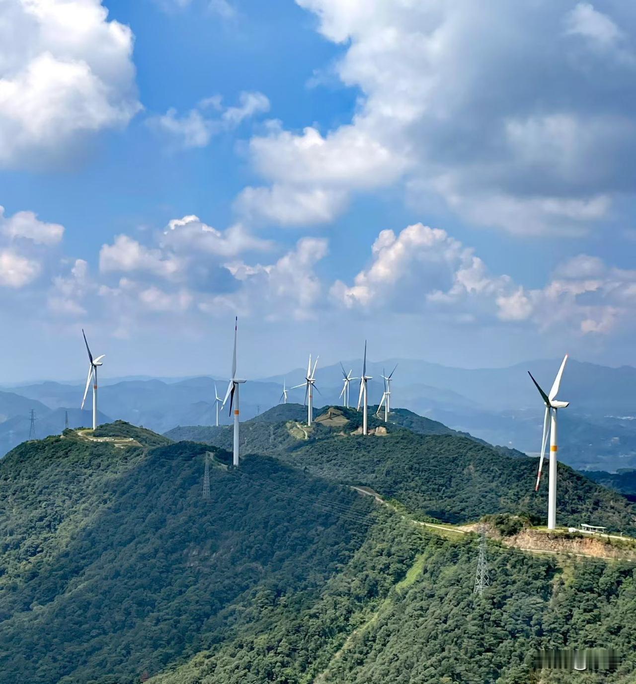 我从没想过，曾经视为甜蜜携手的婚姻旅程，会因为几张信用卡和各种贷款，陷入如今这般