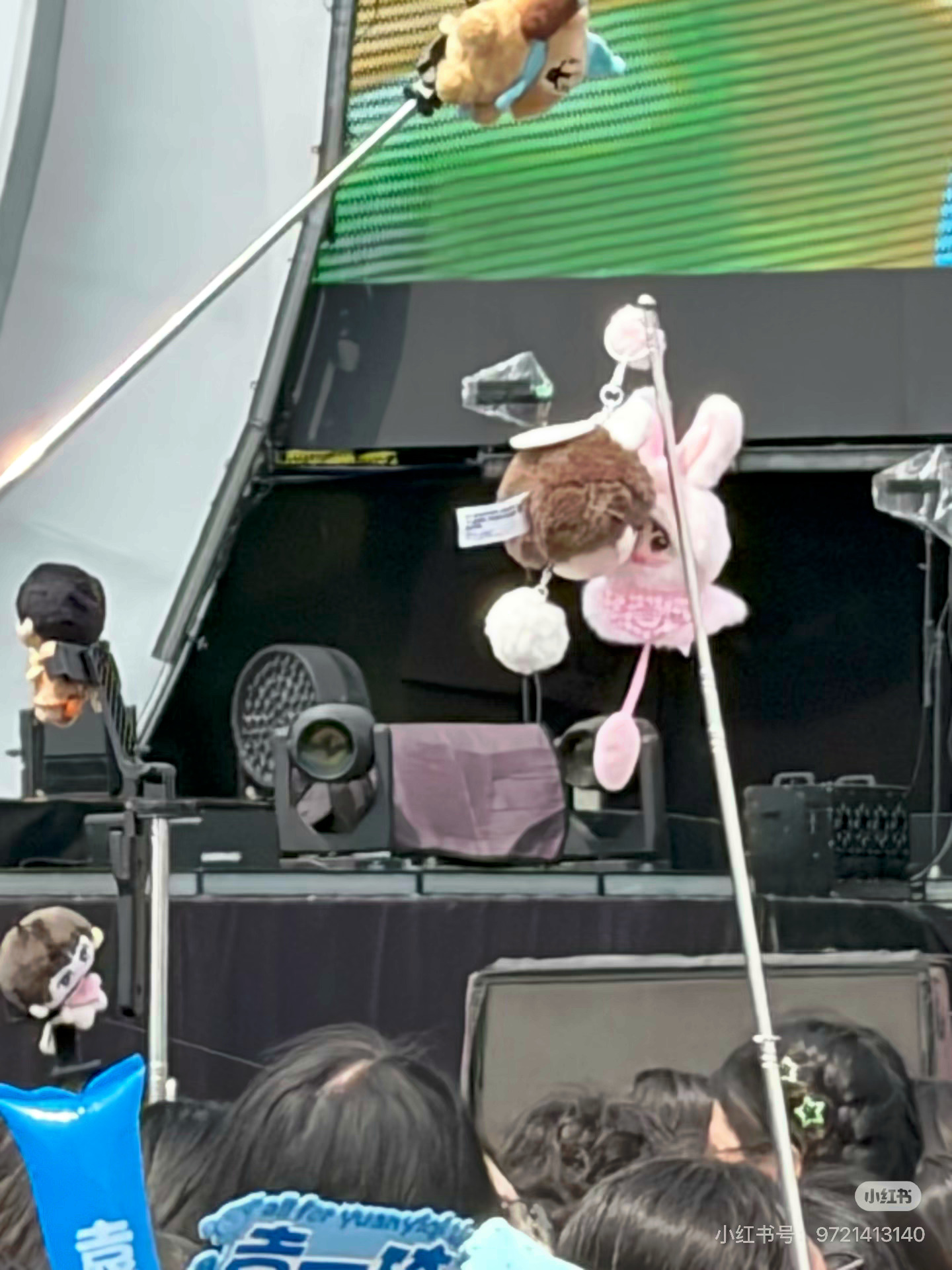 楼孩的多彩人生