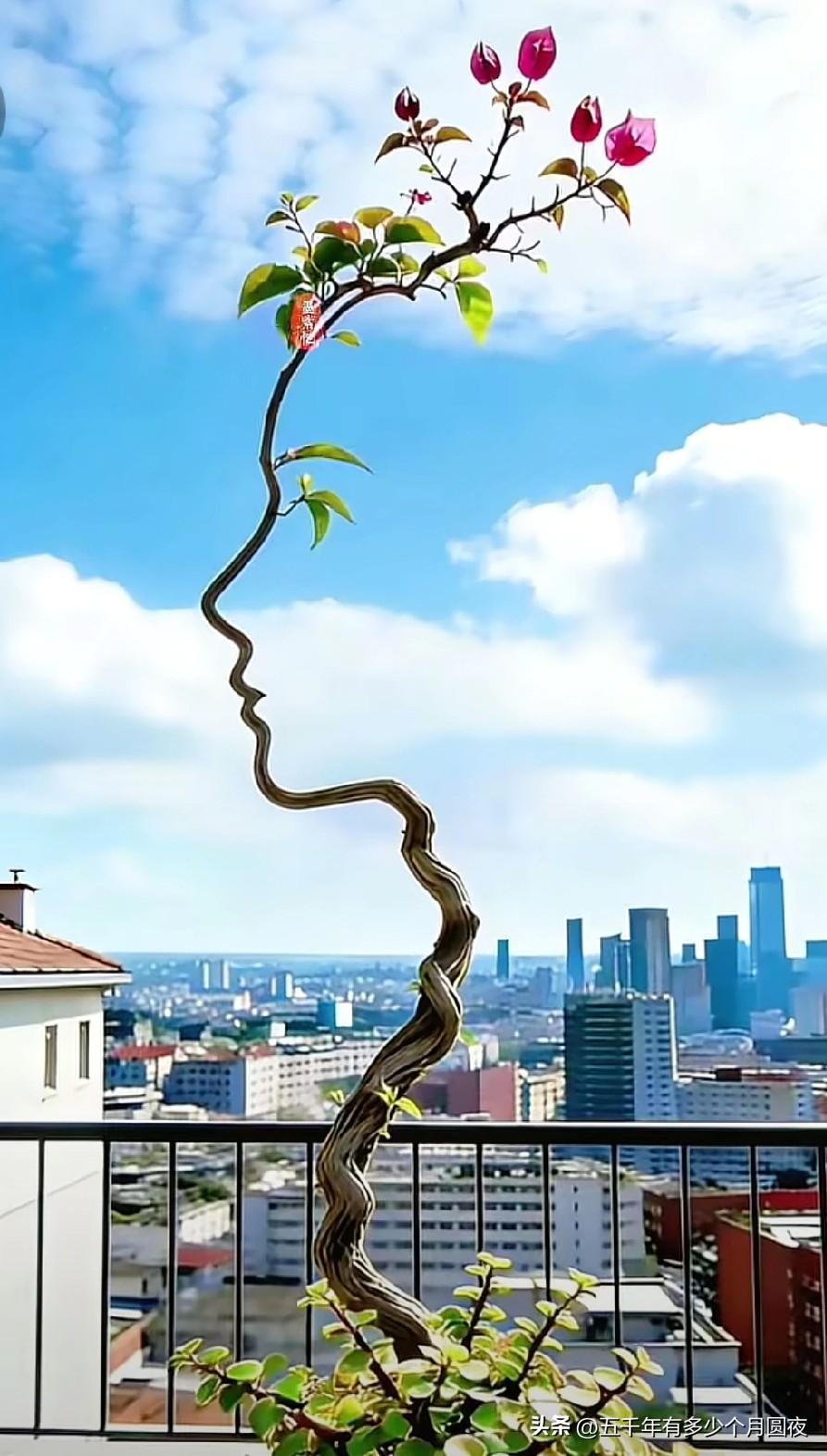 朋友大志去年果断卖了城里的别墅，直接回到郊区老家居住。春节聚会时意气风发，原来是