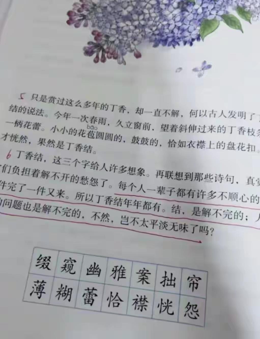 丁香结年年都有，结是解不完的，人生的问题也是解不完的。
多动人的文字啊！只可惜孩