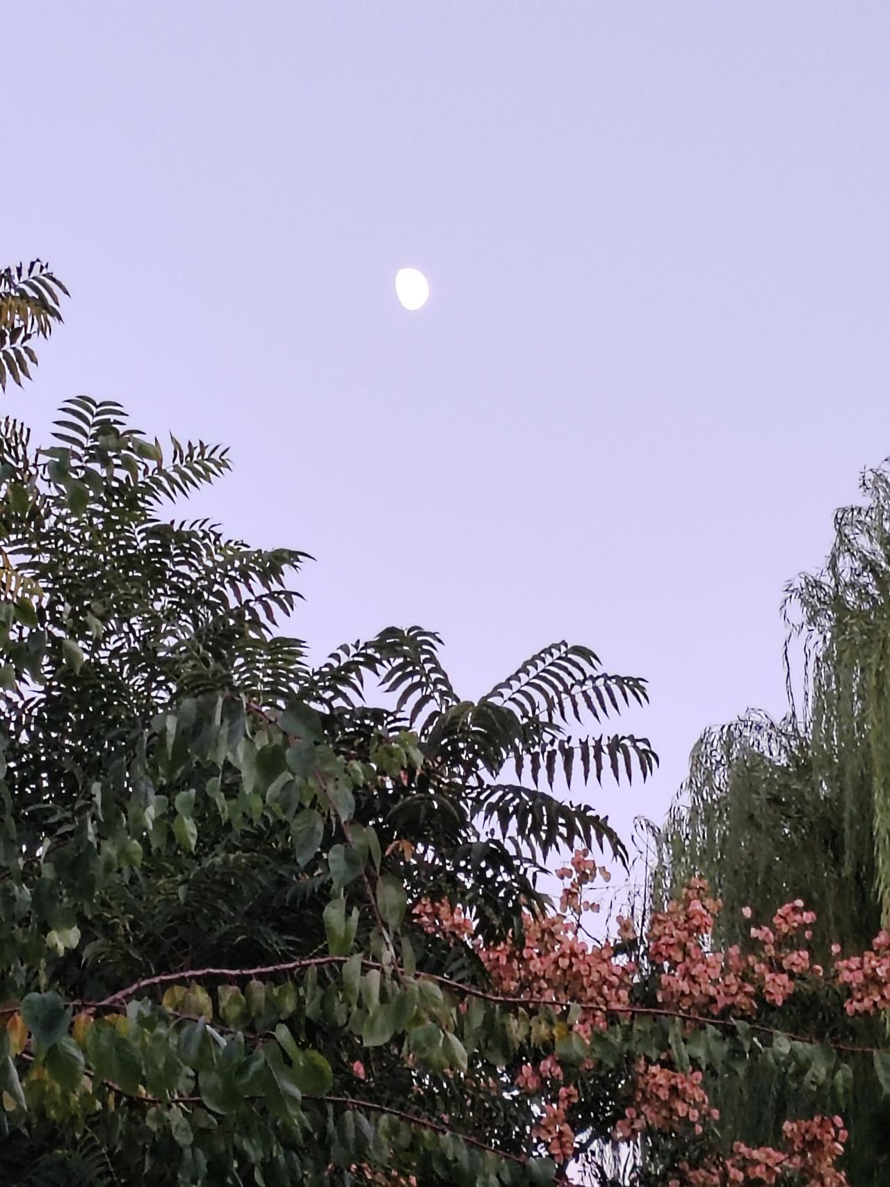 天生我材必有用，这句话还对吗对。你生下来就要吃喝拉撒，就得消费，这样就给了别人创