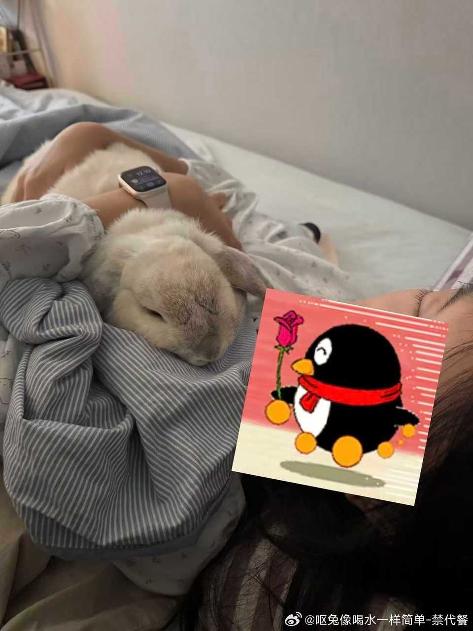 14223🐇【这样萌的小屁股我居然有两只吗】 