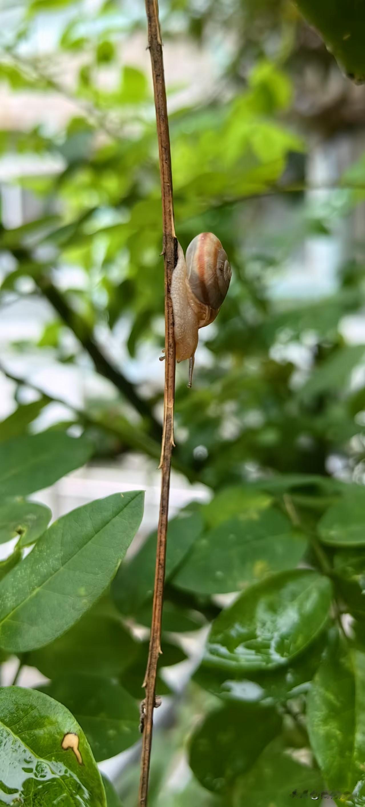 大吧。

相比十年前，压力类型已经换了赛道。十年前更多是温饱、增收、基础安家的硬