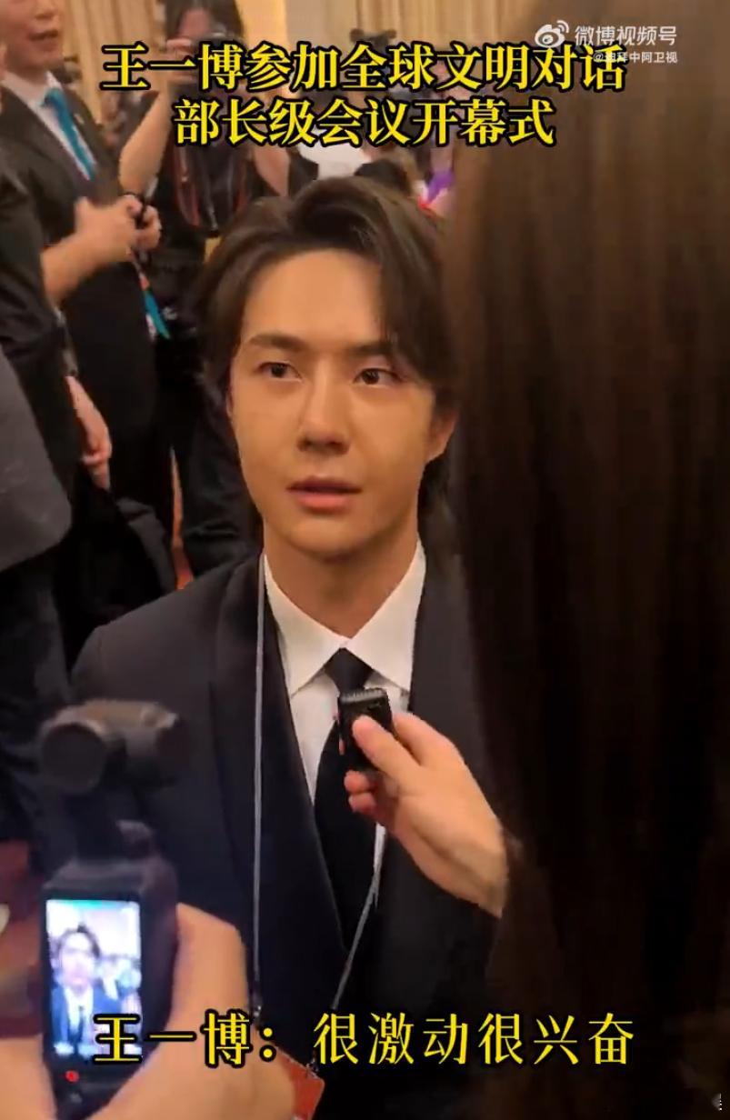 王一博、吴京、王一博、张译、宋佳、李子柒等参加全球文明对话部长级会议，看看现场图