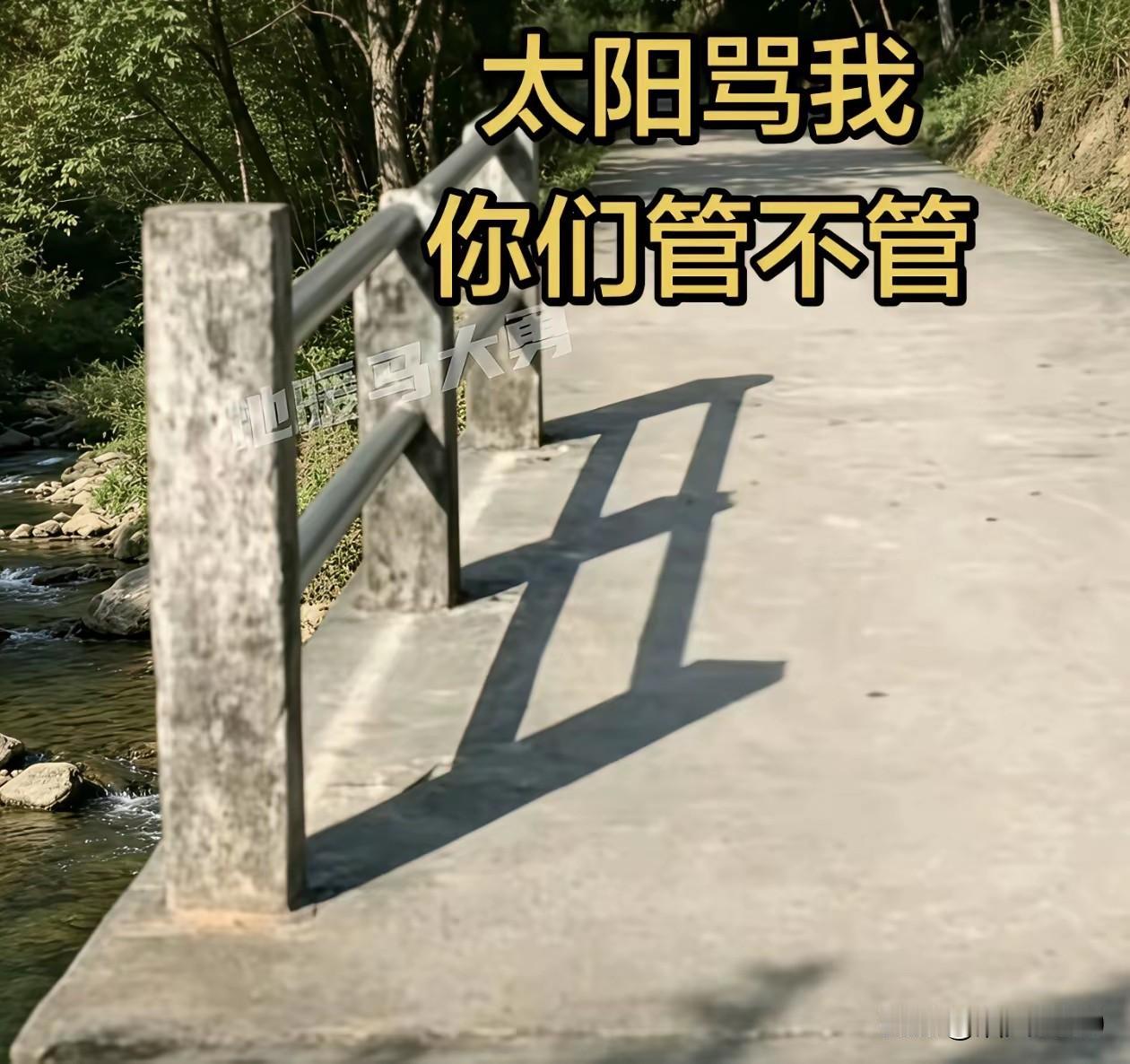 这个真是太绝了，不得不说，作者有一双发现丑的眼睛。
看到这张图，
突然觉得自己这