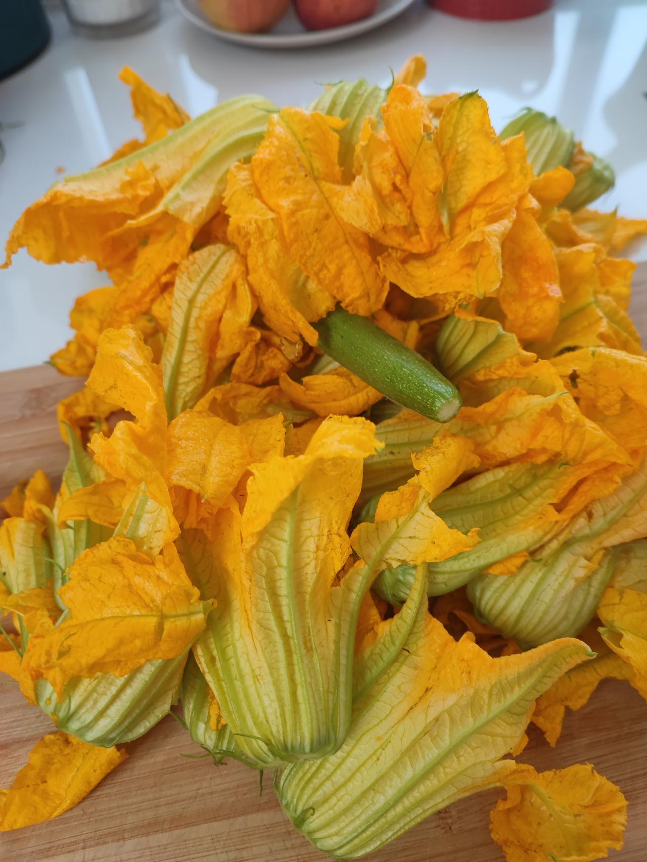 吃过这玩意看过来
还记得小时候日子穷，
为了吃饭有点就饭菜，
娘费尽心思摘了没接