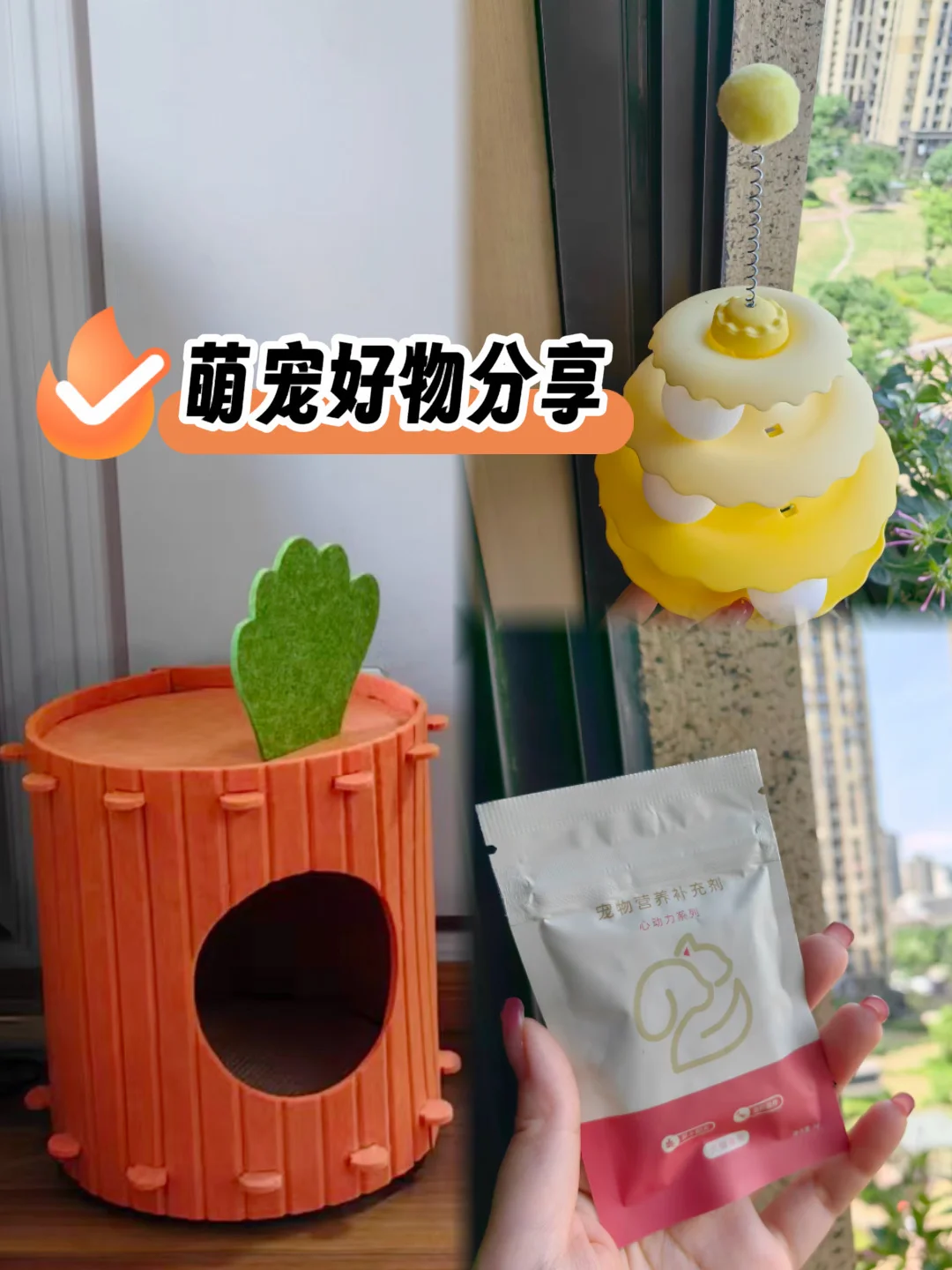 铲屎官必入！这几款好物直接封神✨