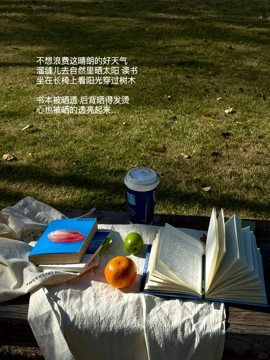 阳光慷慨的把电量耗尽的我拥入怀中。