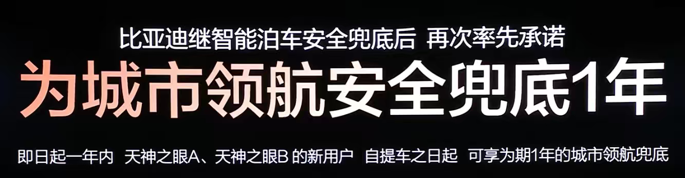 比亚迪这个城市智驾兜底真可以，虽然才一年，也比没有强吧，就是别提前几秒退出哈。