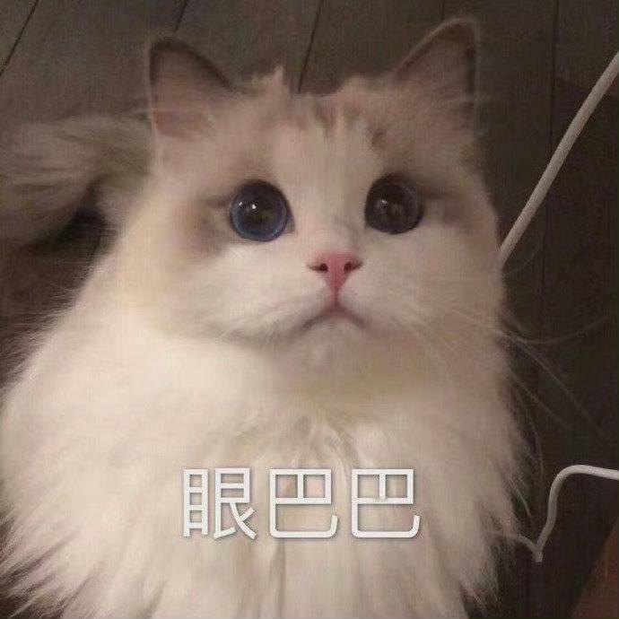 几件事来一起完成❗️1️⃣王一博网页链接（🧱百万）2️⃣签到发帖超like先去