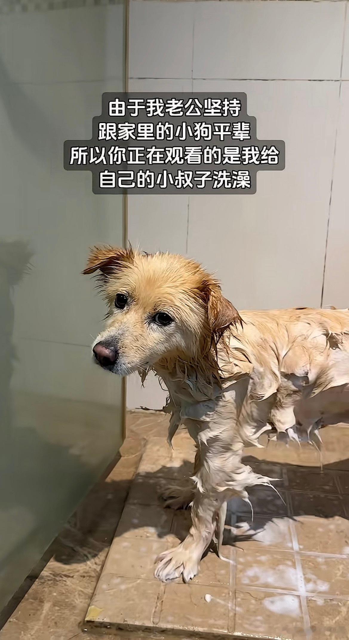 太暧昧了吧