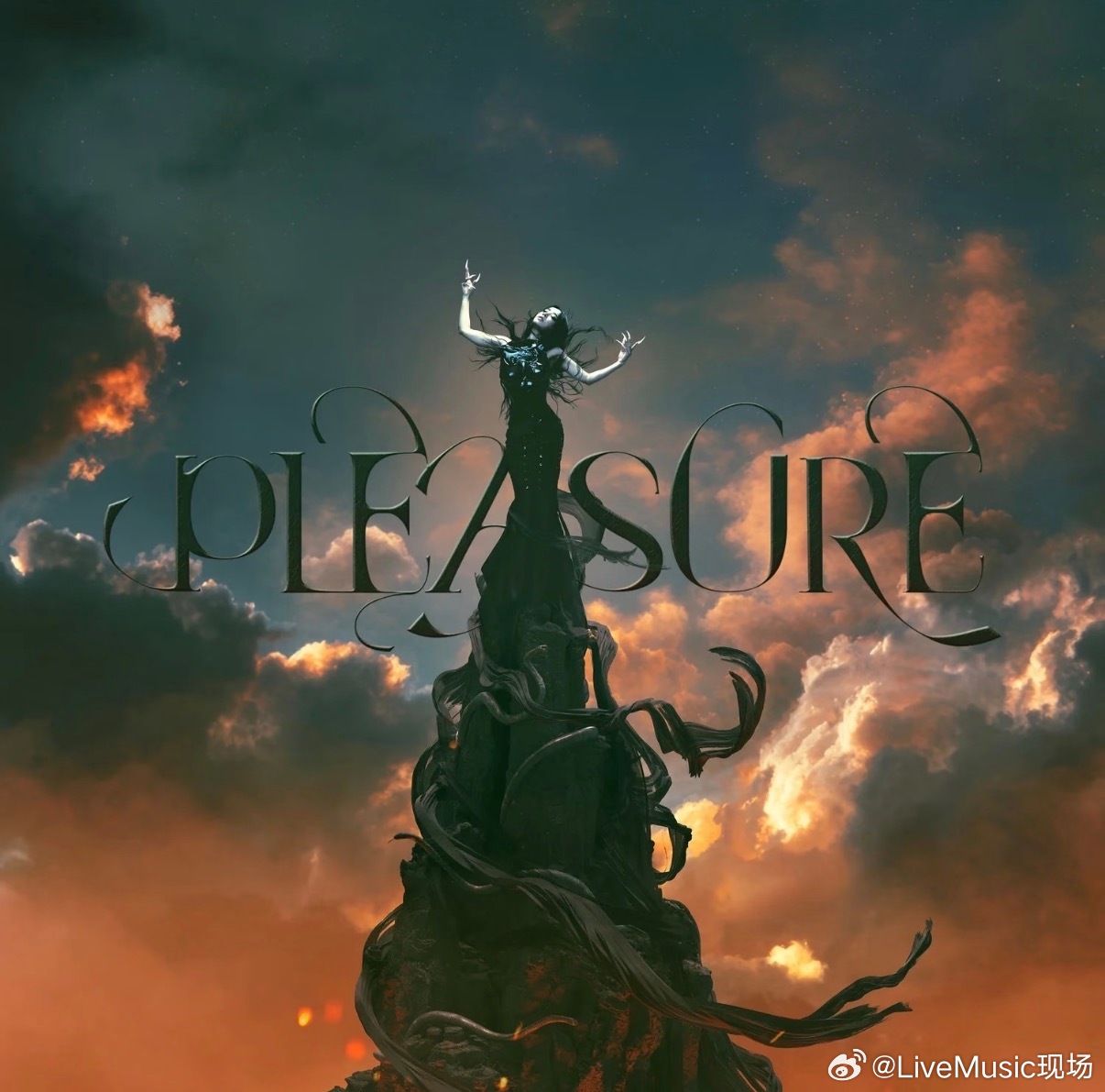 对了蔡依林《Pleasure》创下了歌后最长获奖间隔纪录，两次相隔19年！！！！