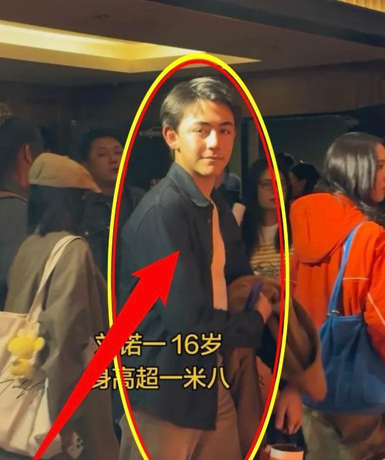 刘烨16岁儿子诺一颜值太帅了 