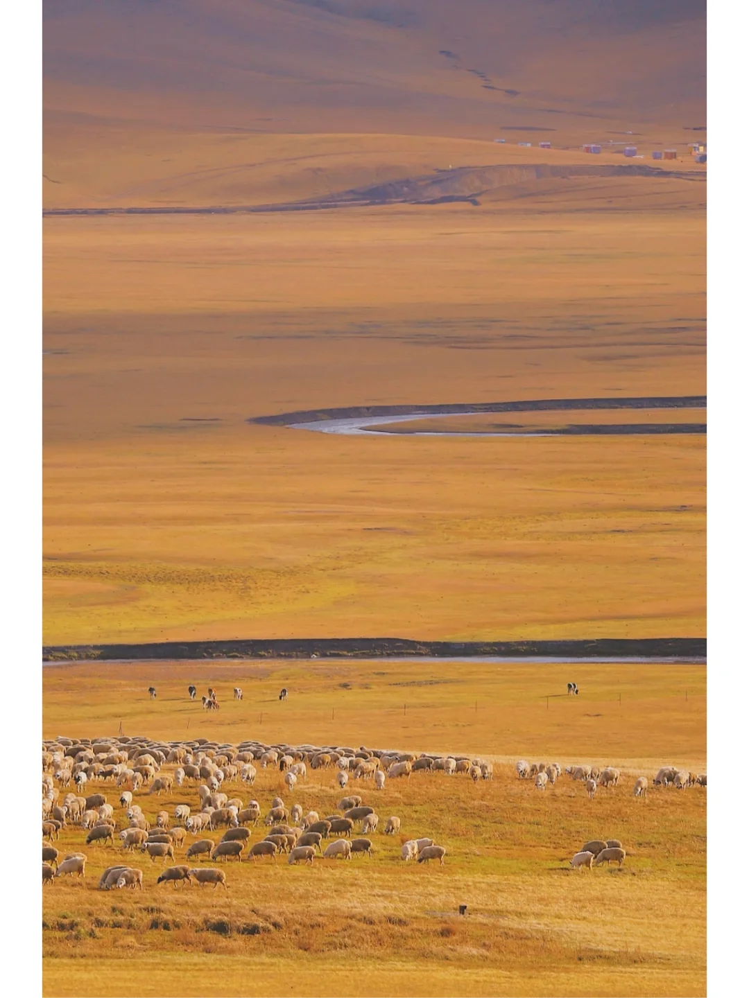 这才是秋天该有的样子🍂这个小城我来了9次