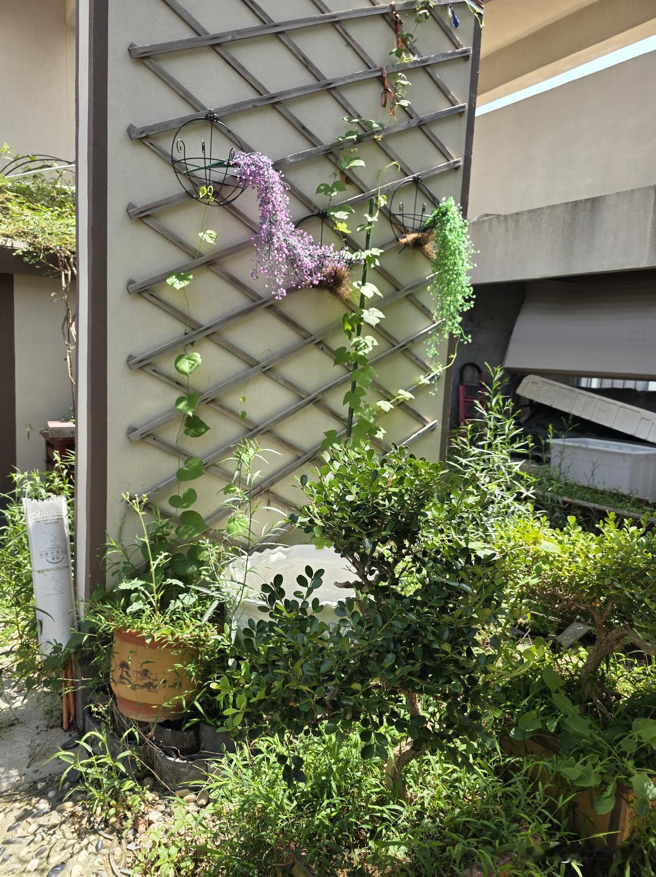 又要回老家：今天上午好一个忙活，回趟老家真是不容易……

昨晚凌晨两点才有了睡意