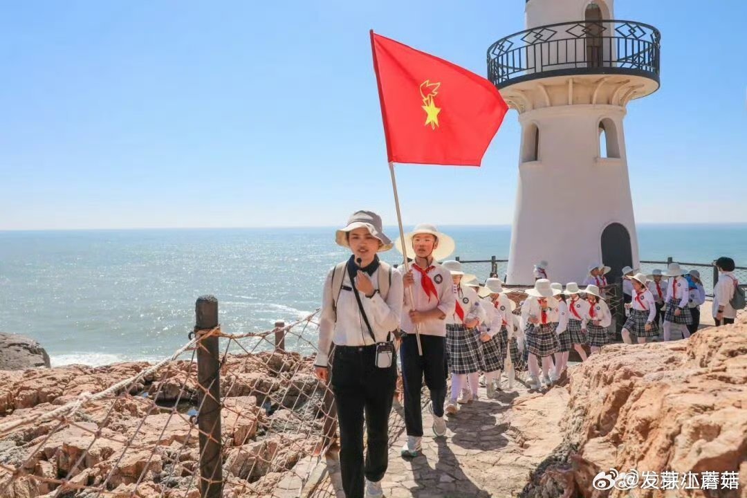 【喜报！台州青年释放活力书写青春答卷 】近日，共青团中央发布全国“两红两优”表彰