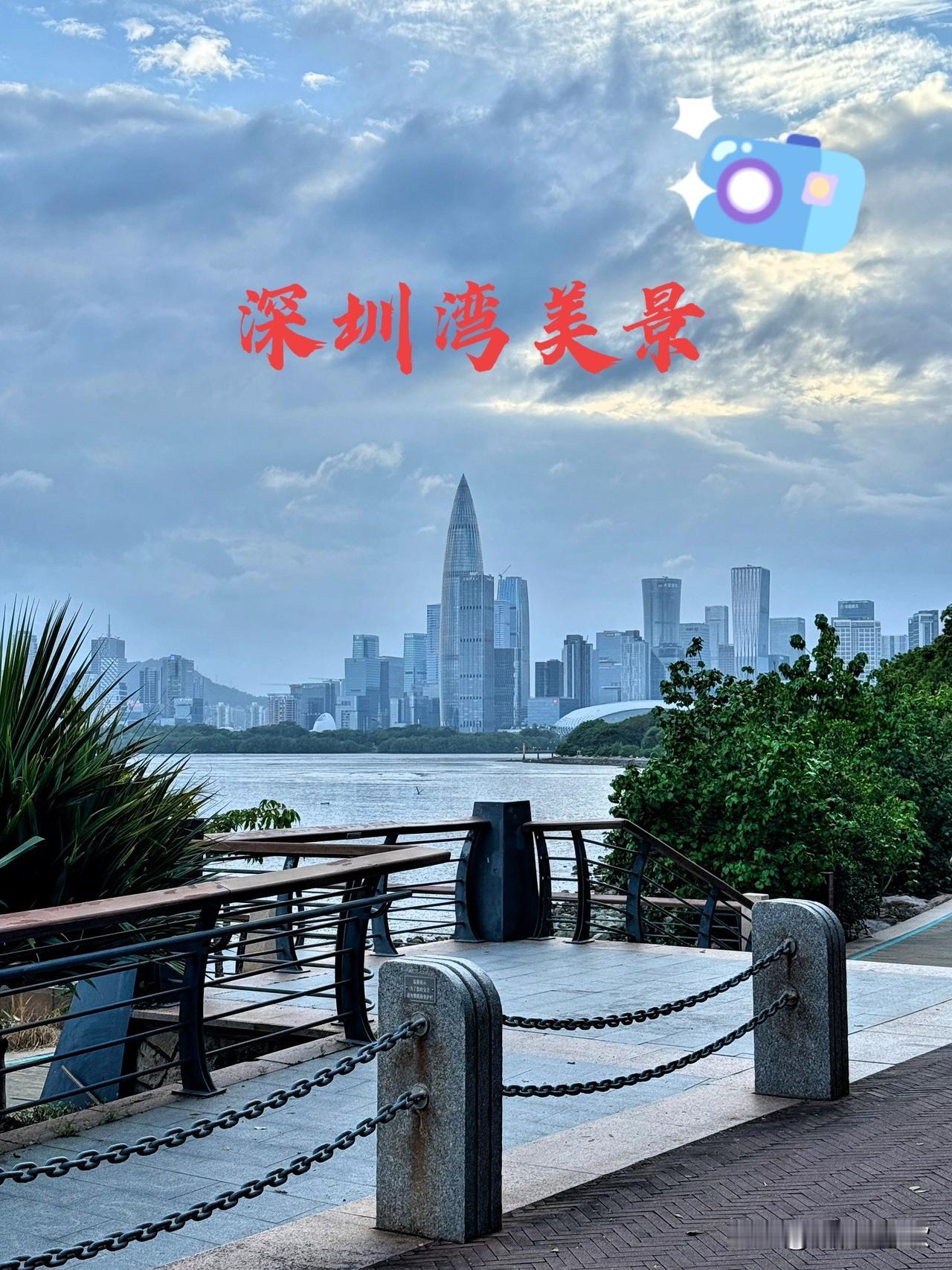 深圳湾真是个宝藏地，风光秀丽得没话说。碧波荡漾的大海，翠绿满目的红树林，随手一拍