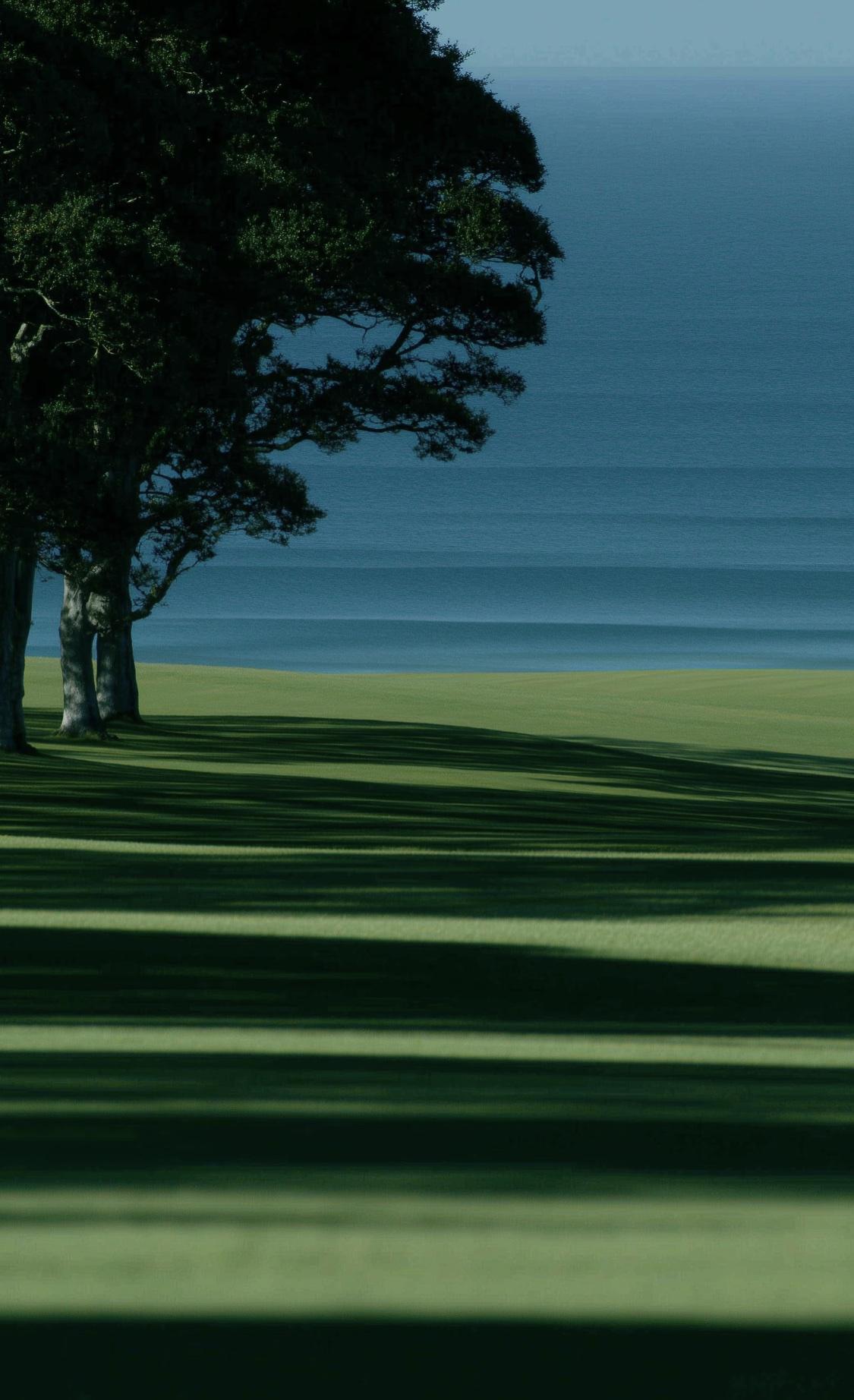 人一定要大量读书！

我发现长期读书的人都有一个共性：

话变少了，心却更静了。