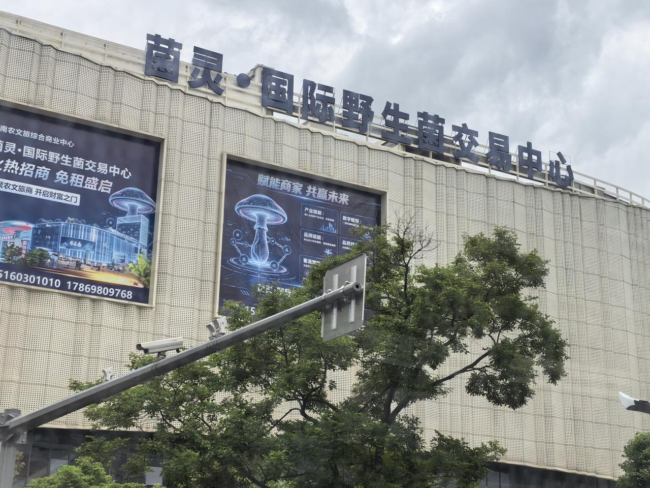 这个市场的定位已经不再局限于昆明，云南，中国了，而是面向国际的，还以为是今年野生