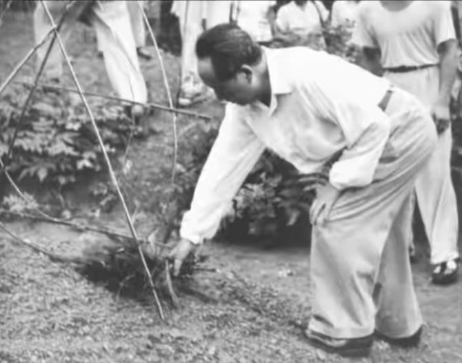 1959年夏天，韶山招待所里坐满了人，毛主席刚回到阔别三十二年的老家，气氛热络得