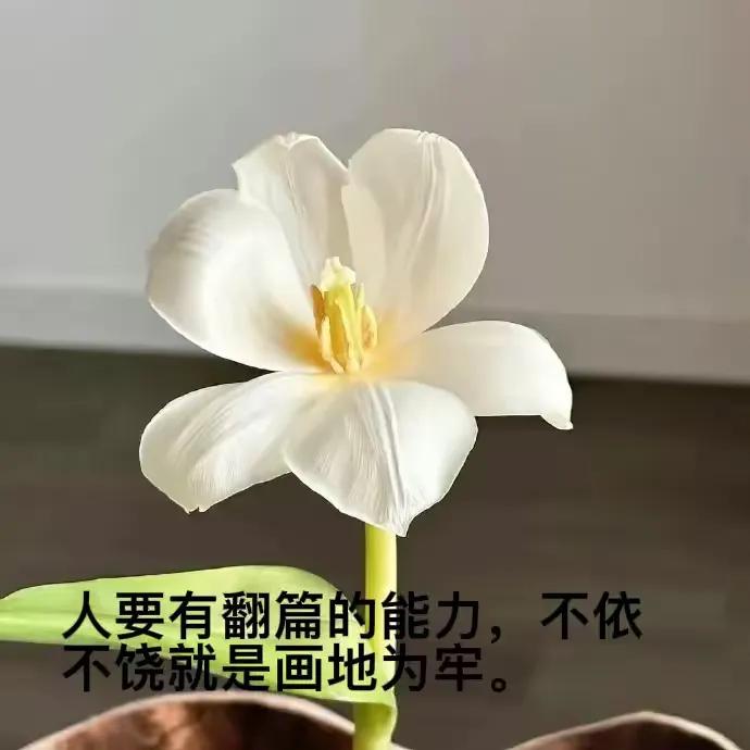 姻缘，宛如天边那一抹变幻莫测的云霞，时而绚烂夺目，时而隐匿于无形，着实难以捉摸。