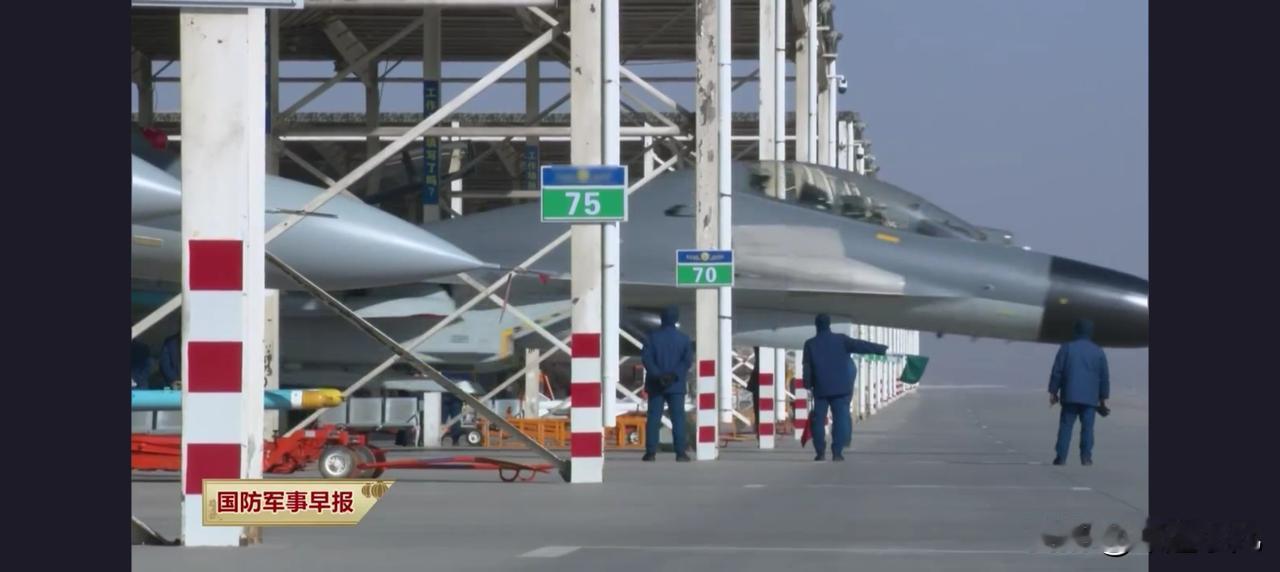 央视公开，歼11高原战备画面！单座双座全出动，灰色雷达罩是啥？

最近央视报道里