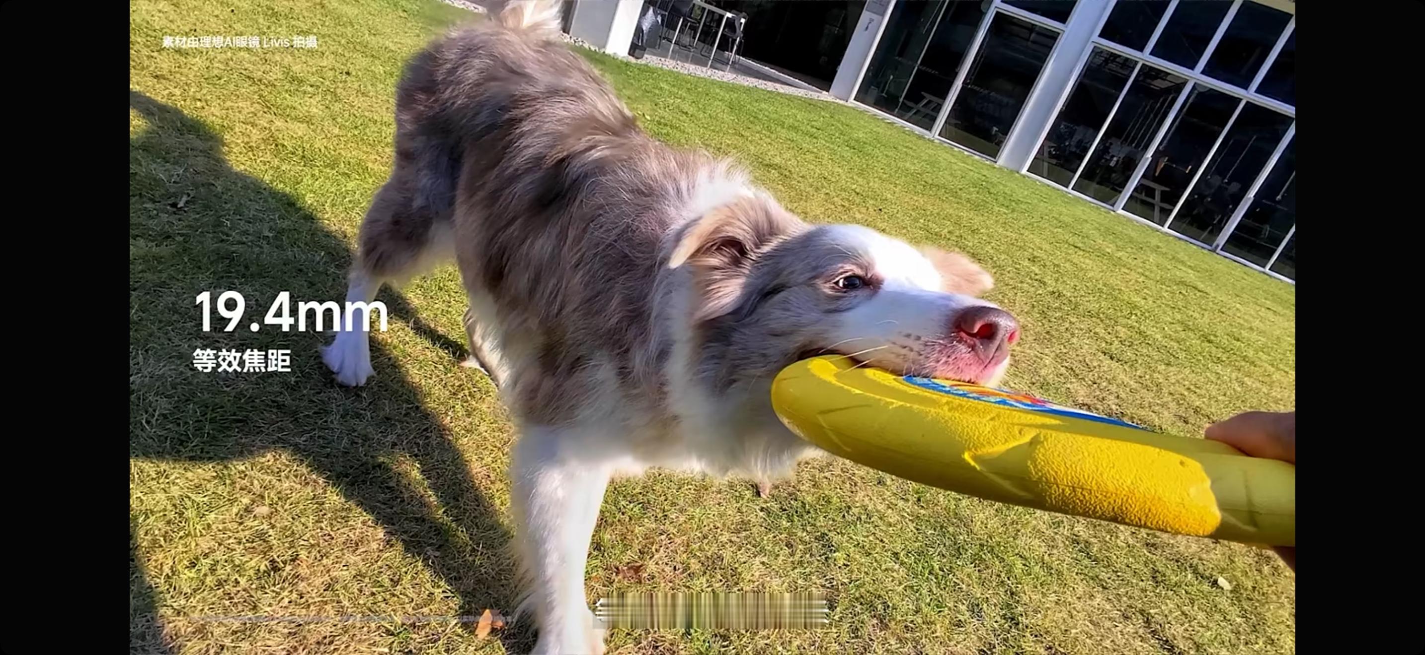 理想AI眼镜Livis眼镜镜头是1200万像素，支持 live photo 的拍