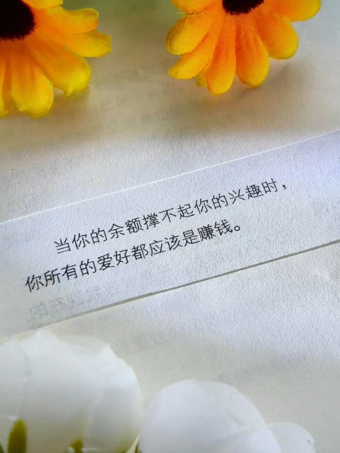 当你的余额撑不起你的兴趣时，你所有的爱好都应该是赚钱。 