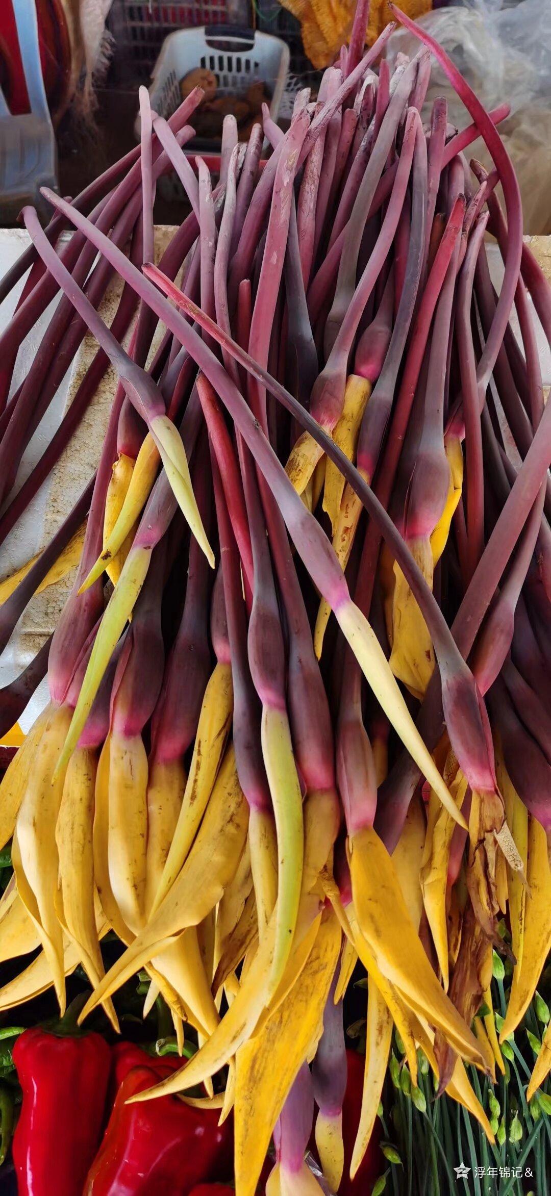 突然间发现不知道写点什么，也不知道说点啥，因为无论写啥都没流量没人看。

但又总