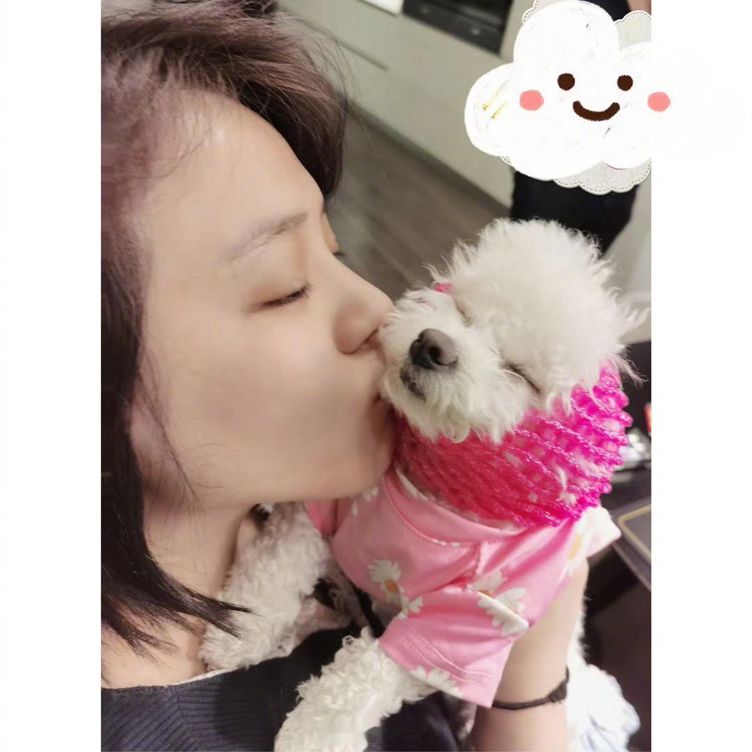想和你养个狗狗🐶 