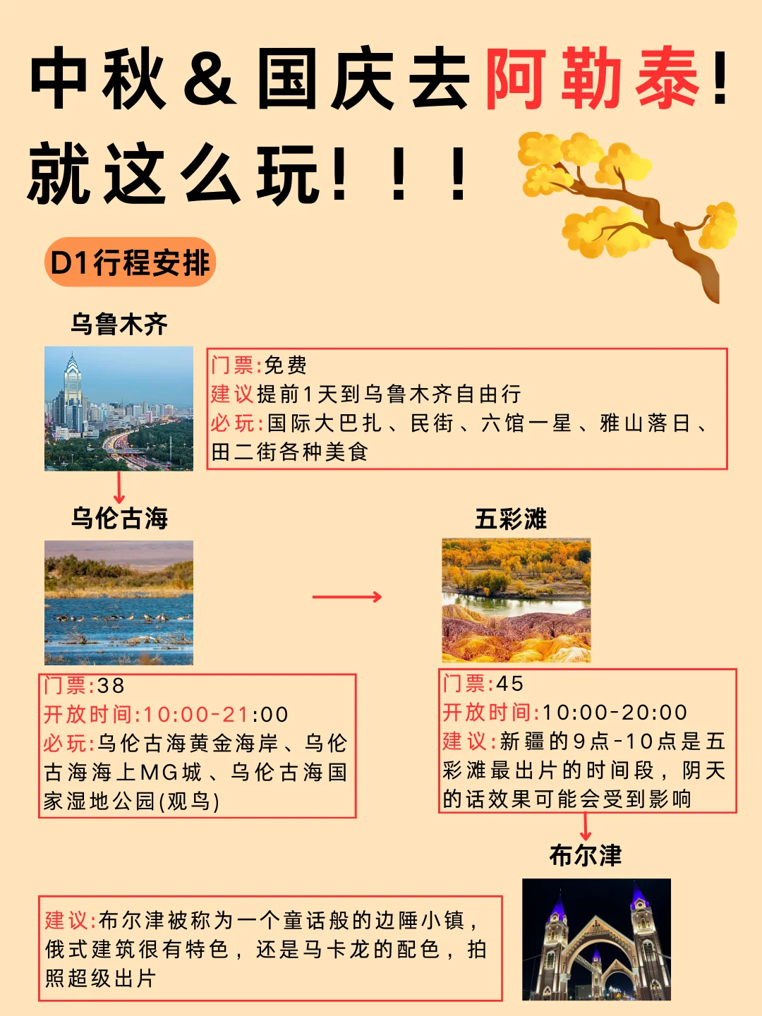 秋季去喀纳斯🍁这条小环线一定不能错过❌