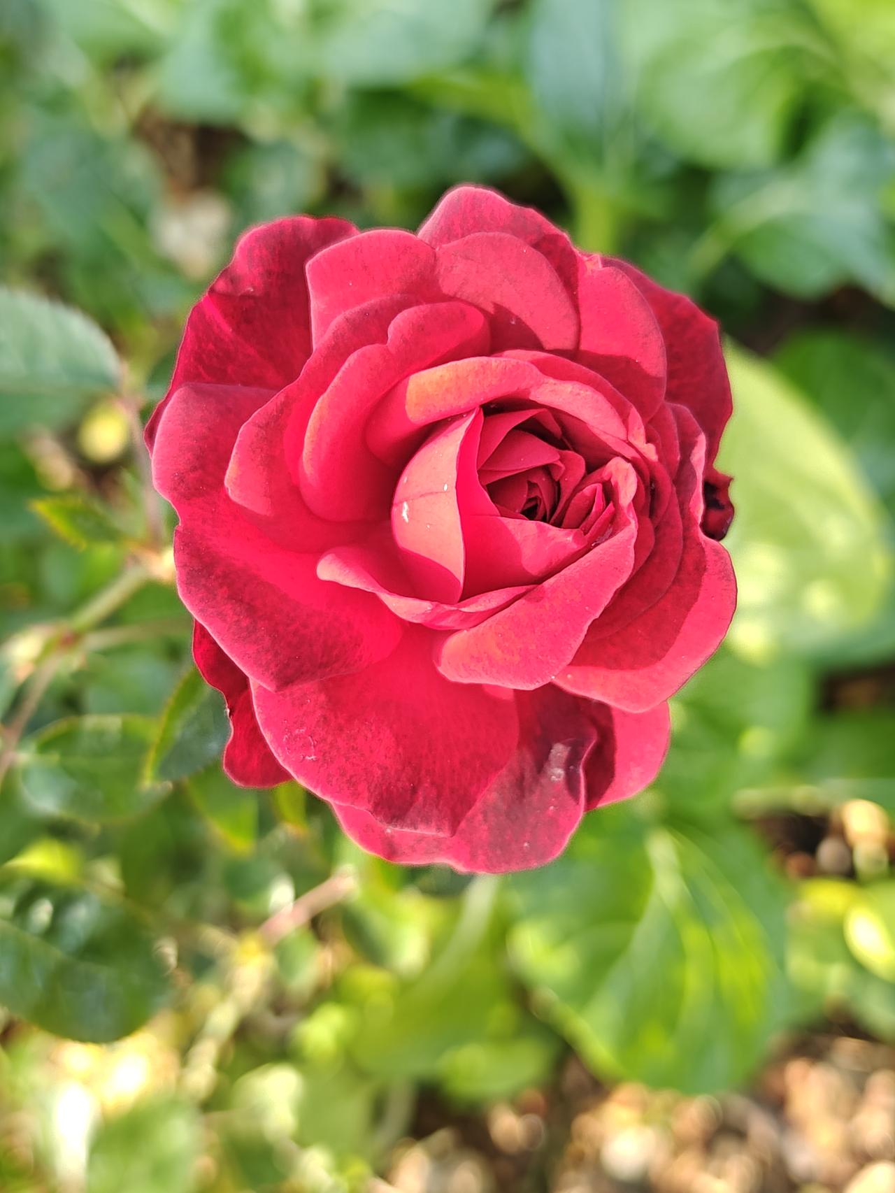 这男的实在算不上真男人，老婆都给他戴绿帽子了，他却还死死赖着不离婚，实在让人难以