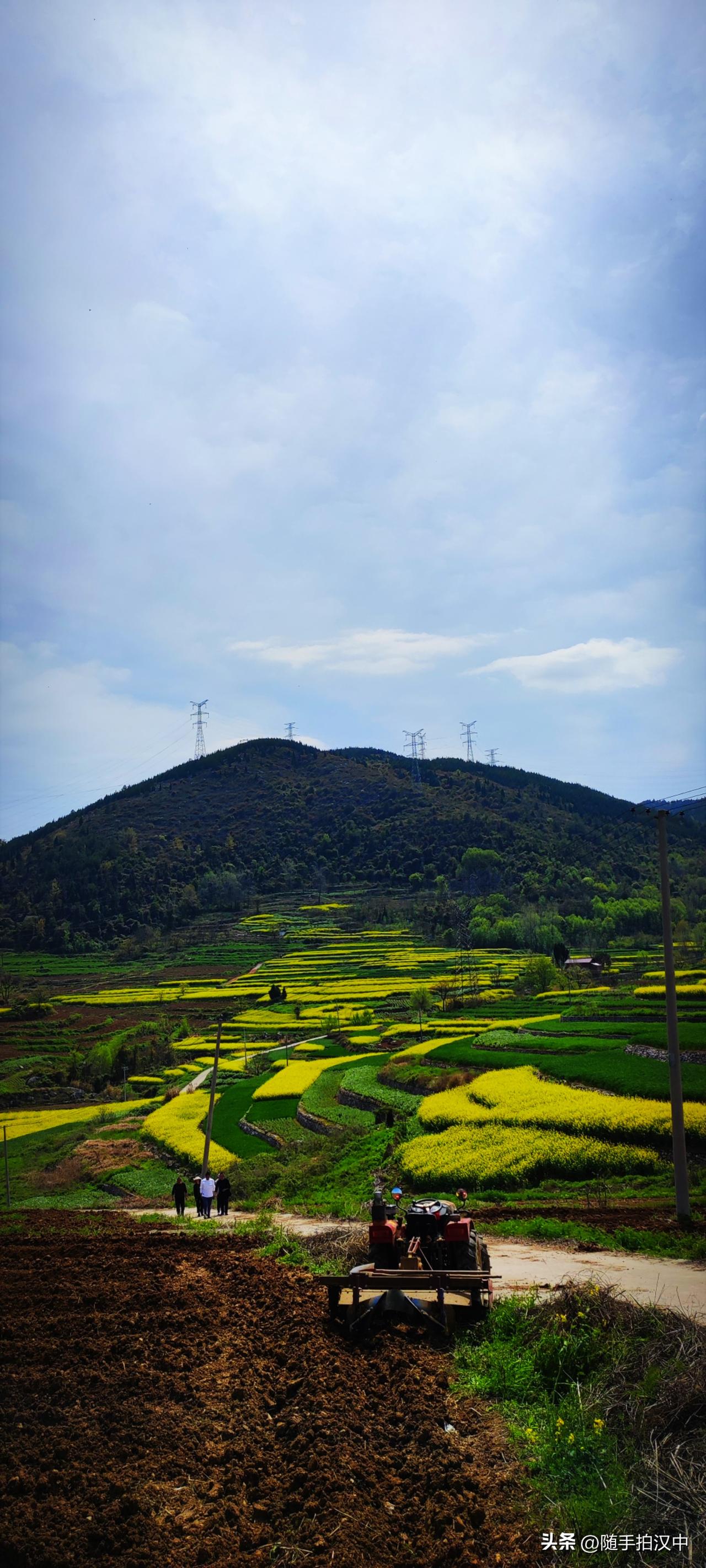 惊觉，已是三月的尾巴，春光甚好，尚不晚。如果你问我对春天有什么期待，只有一个答案