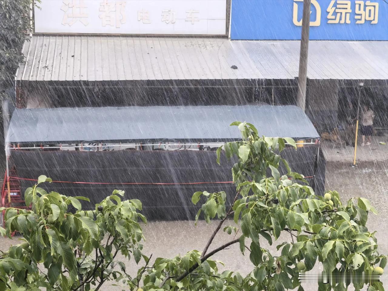 连续两晚一个白天的暴雨，地里的庄稼喝饱了没有？
还没有？没事，不够再下！
预报还