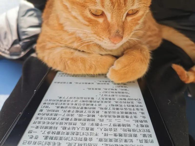 上瘾是什么感觉！
最近 最近在我身上发生了一件可怕的事情。我突然感觉上瘾了。做什