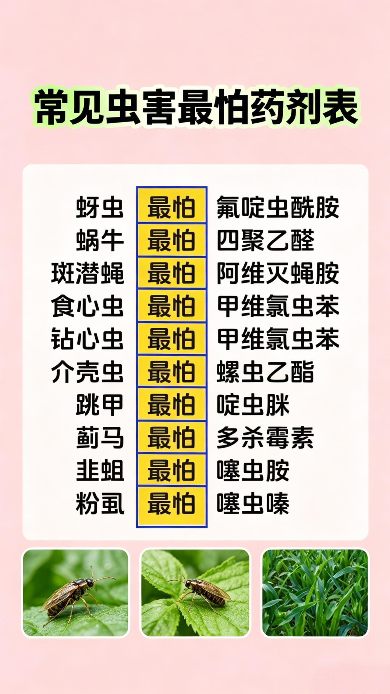 虫害防治 蓟马 红蜘蛛 夜蛾