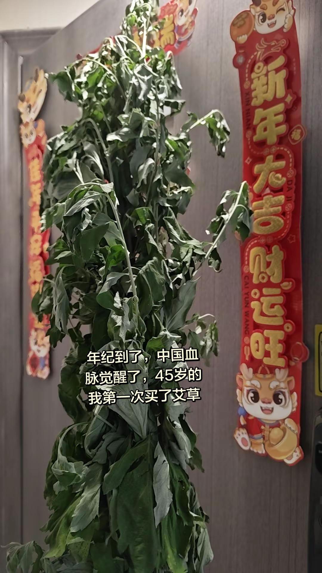 端午节习俗之挂艾草